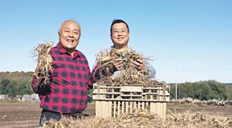 澎湖囝仔赴美 开出臺湾品牌之花