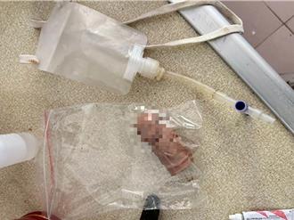 3毒蟲缺錢買毒狂偷工地電纜 落網持假陽具躲避尿檢