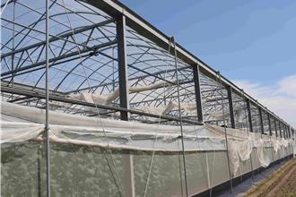 嘉義災後溫室重建「排到明年」 農民盼多媒合廠商