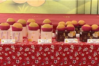 苗县大湖尊梨节登场 健行、果品评鑑活动吸睛