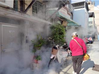 高雄鼓山登革熱群聚再添1例 同社區傳播已9人染病