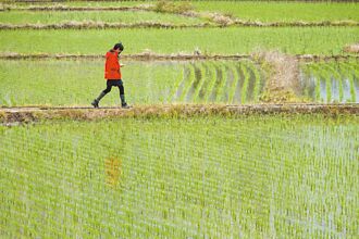 工商社論》台美貿易談判的農業議題策略