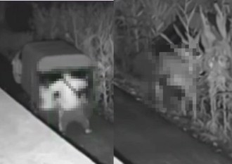 「野外偷情」意外滑落農田 疑沒拉手煞！監視器全都錄