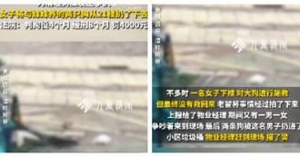 浙江女子酒后与妹争执竟将2只狗从21楼抛下致死  下场惨了