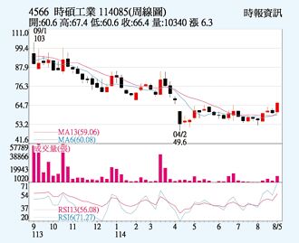 時碩 追價買盤強勁