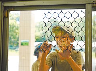 宜蘭 守護南澳飛羽 點畫玻璃防窗殺