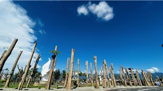 台东观光门面崩坏！机场「断头树」惹议 官方回应了