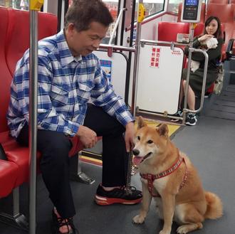 新北「假日狗狗公車」新增路線 毛孩出遊更輕鬆