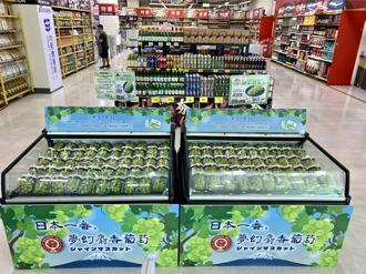 日本麝香葡萄搶鮮登台！7-ELEVEN、家樂福量販同步銷售