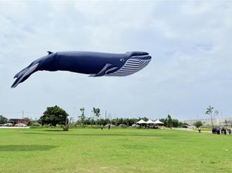 台中國際糕豐會移師大安 箏箏日上助攻觀光產業起飛