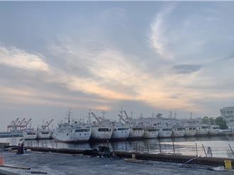 前镇渔港渔船併靠奇景 民忧秋颱重演漂流危机