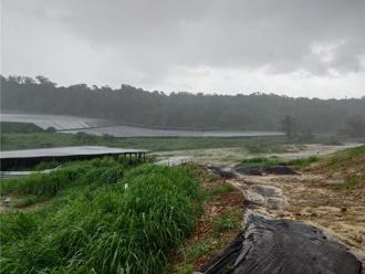 國家公園「擬租光電業者」？翁曉玲示警：恐砍整片樹林