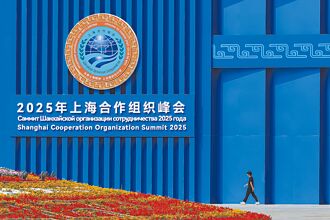 上合擴員 習挺中亞2國入會