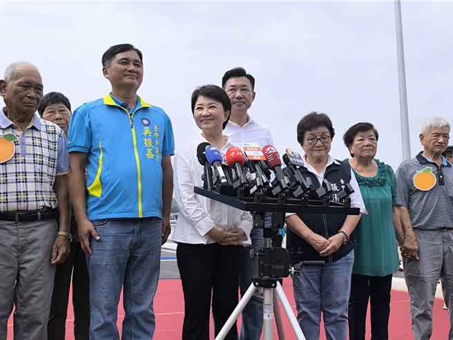 台中市长卢秀燕受访。(李京升摄)