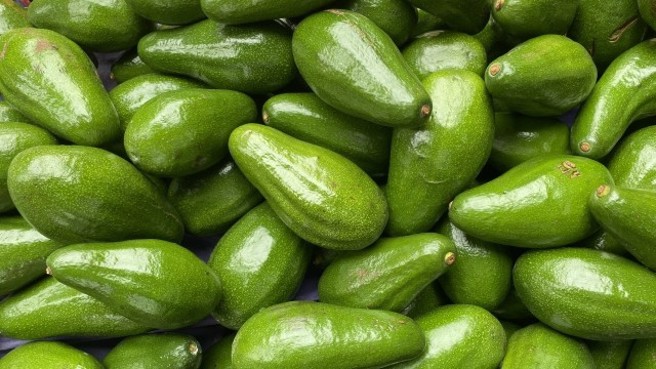 墨西哥是世界上唯一可以全年種植酪梨的地方，帶來經濟優勢的同時，也對當地森林環境造成破壞。(圖取自Photo AC)  