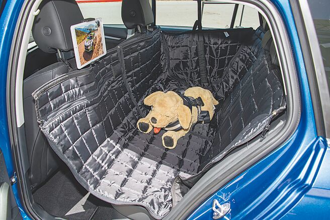 车主可为狗狗添购宠物专属配件。（陈大任摄）