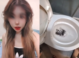 10倉鼠沖馬桶遭送辦！泰籍惡女鬼扯「男友說要餵蛇」才下手為強