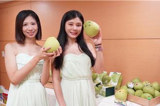 新北文旦季開跑 八里採果一日遊、食農教育DIY等你來體驗