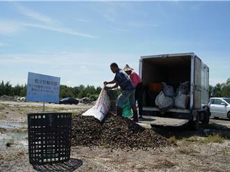 颱風暴雨文蛤殼堆山 雲林縣府巧變「轉廢為寶」