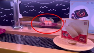 迴轉壽司「小屁孩」用筷子擋食物 網怒：會生不會教？ 