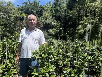 卸下丰原市长光环 张溢城开辟5公顷农场重启第二人生