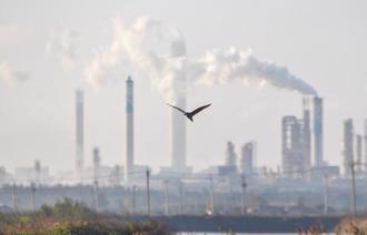 工總白皮書建議碳費緩徵 環境部堅持「如期上路」理由曝