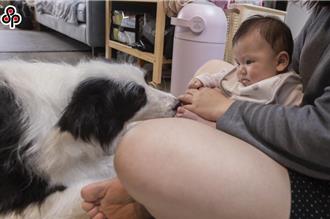 獨家》育嬰留職停薪按日請 勞動部祭5億元獎勵雇主