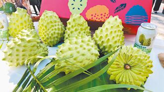 台東鳳梨釋迦銷陸 量能再擴大