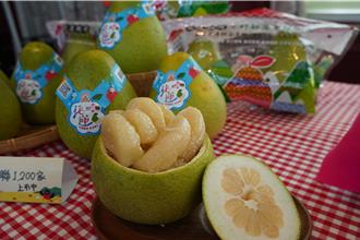 西部风灾害产量骤减 花莲文旦柚每斤涨3元仍供不应求