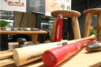 廢木頭變黃金！陽明交大打造校園樹木「第二人生」