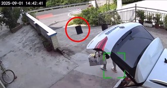 出游返家行李箱竟出逃　网笑：它还没玩够