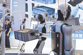 產業分析－從視覺模型剖析人形機器人進展