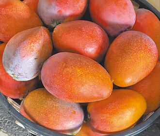 經濟思維－體感通膨的真相