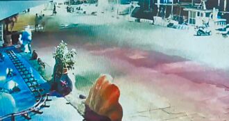 涉偷黑狗虐死 淡水街友送辦