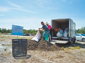 雲林轉廢為寶 文蛤殼製成海毛紗