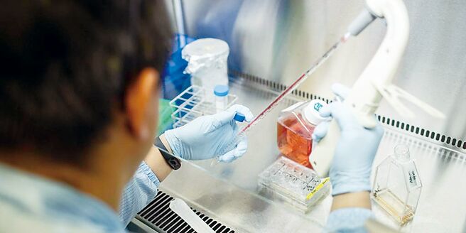 全福2日在法說會中宣布，以1.5億元入股康百事生物資訊，取得4成股權成為最大股東。圖／本報資料照片