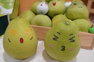文旦柚上市！新北市「文旦柚展售会」及各项活动登场