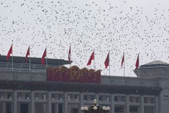 93閱兵結束  8萬和平鴿瞬間歸巢  「分秒不差」幕後曝光