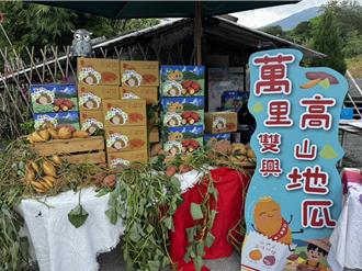 萬里高山地瓜「搶鮮」登場 三姊妹農家樂米其林加持限量開賣