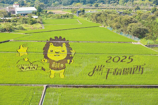 新竹县关西镇公所现正推出「2025携手稻关西」稻田彩绘，邀请民眾前来欣赏田园风光。（关西镇公所提供／邱立雅竹县传真）