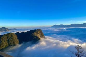 阿里山日出印象音樂會卡司公開 搖滾、爵士、古典樂跨界演出迎新年
