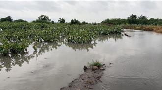 申請農損補助遭駁回 彰化農民控公所勘查失職：誤認稻草當空田