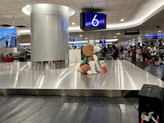 出國帶「新鮮伴手禮」回台 1萬5飛了 防檢署曝規定