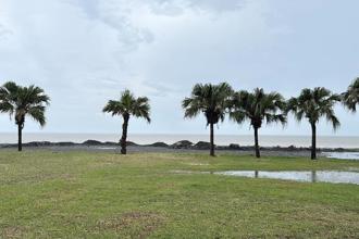 陸域風機插旗東海岸 逾3000名台東居民連署反對