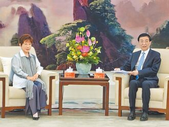 王沪寧：盼两岸常来常往 和平发展