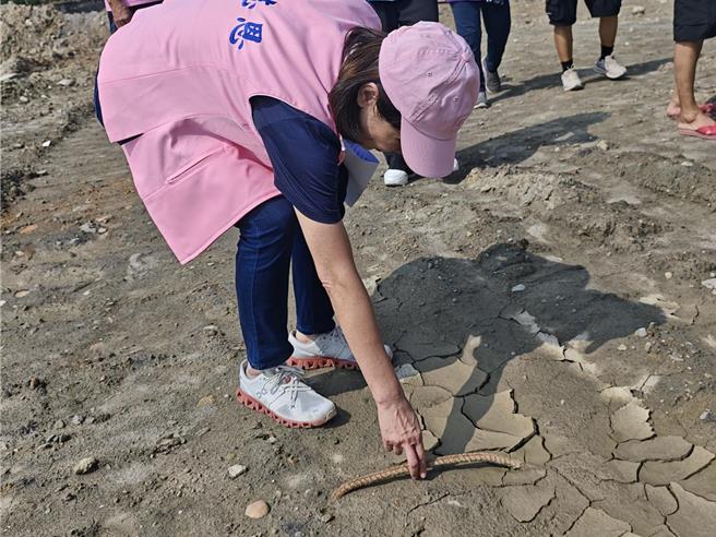 立委志恩今（5）日到「美濃大峽谷」現場會勘，發現坑洞遭填滿磚頭、磁磚，甚至是鋼筋、玻璃等廢棄物，以「比先前更怵目驚心」來形容，讓當地居民擔憂擔心土地遭汙染，卻無人過問與處理。（翻攝自柯志恩臉書／任義宇高雄傳真）