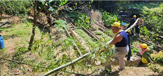 八德三元宮傳承百年！堅守古禮取燈篙竹普度登場