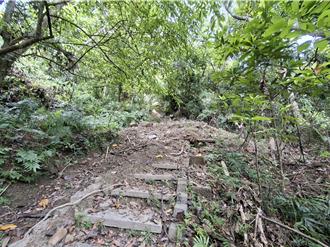 霧峰山區豪雨重創！青桐林步道損毀 步道封閉待修