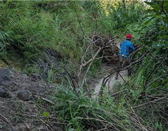 綠營鄉長林慧如再筆戰農業部 「爽口命令」基層無比困擾