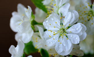 周日白露到！5生肖低調翻身 從忍到狠贏得剛剛好